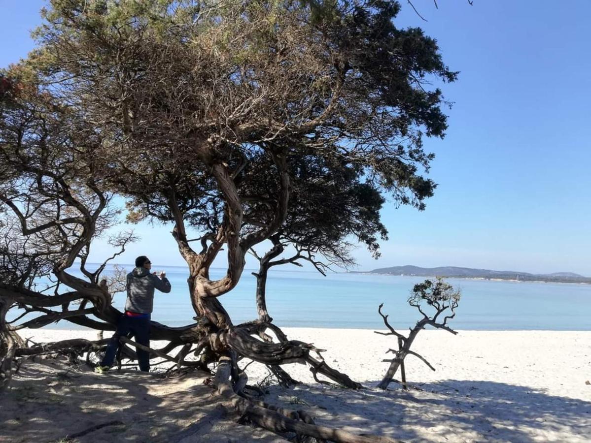 L'Anfora Panzió Alghero Kültér fotó