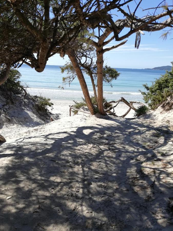 L'Anfora Panzió Alghero Kültér fotó