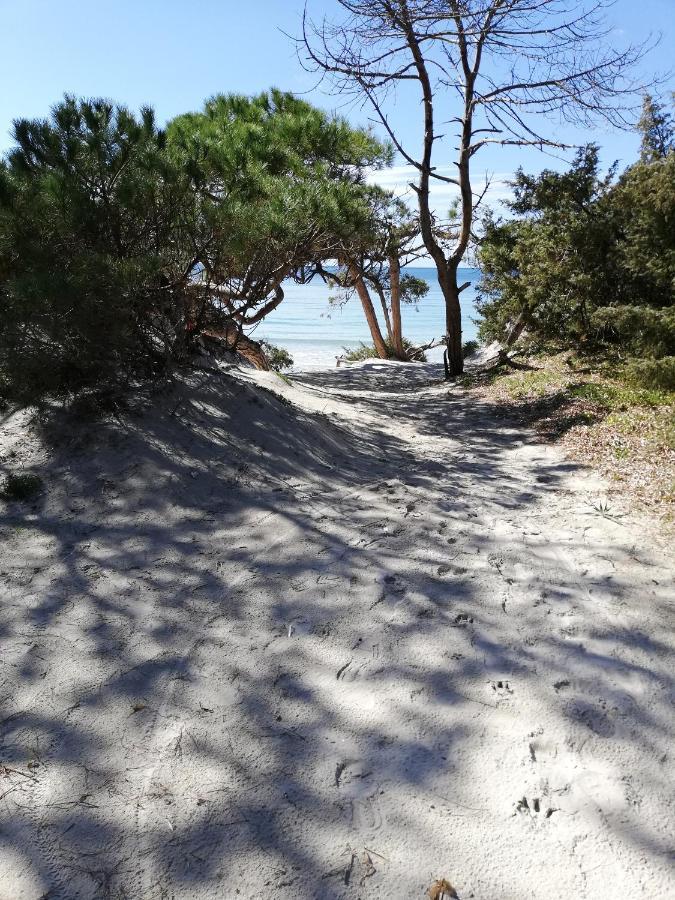 L'Anfora Panzió Alghero Kültér fotó